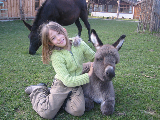 Tierpark Hellabrunn in München Thalkirchen