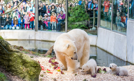 Tierpark Hellabrunn in München Thalkirchen